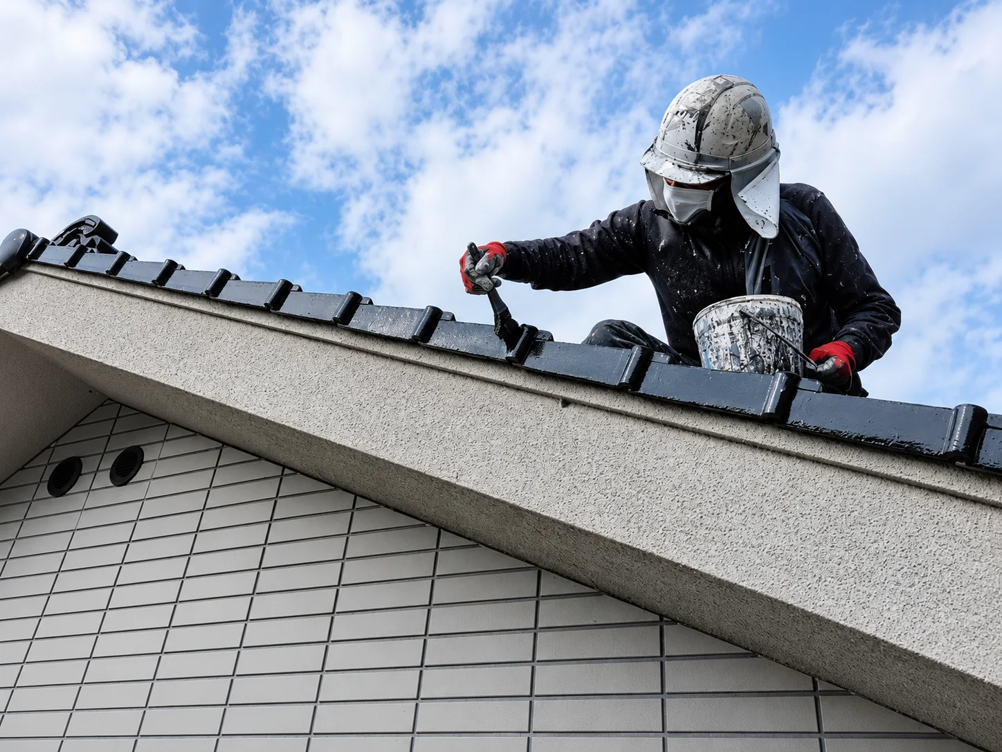 Professional roof painting project